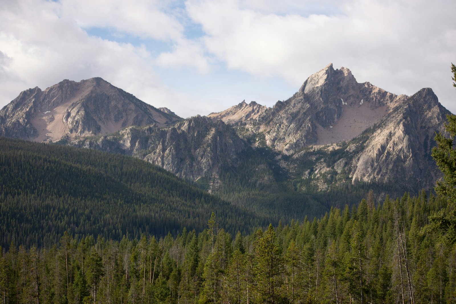 The Sawtooth Mountains rising above forest in central Idaho.